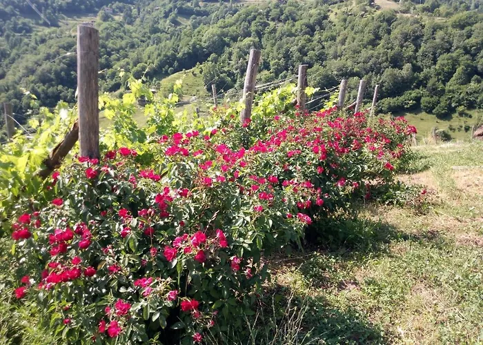 Ca\' Del Ri