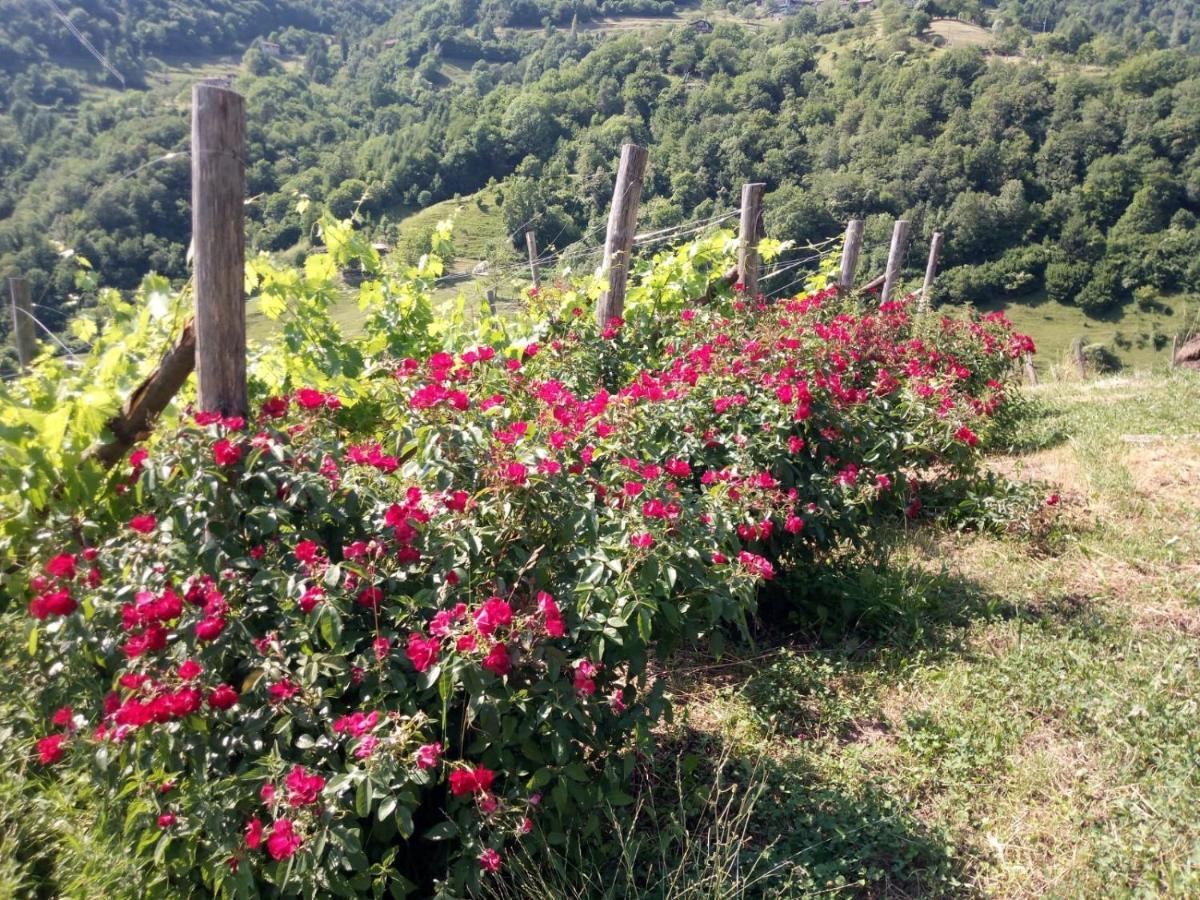 Ca' Del Ri * Gargnano