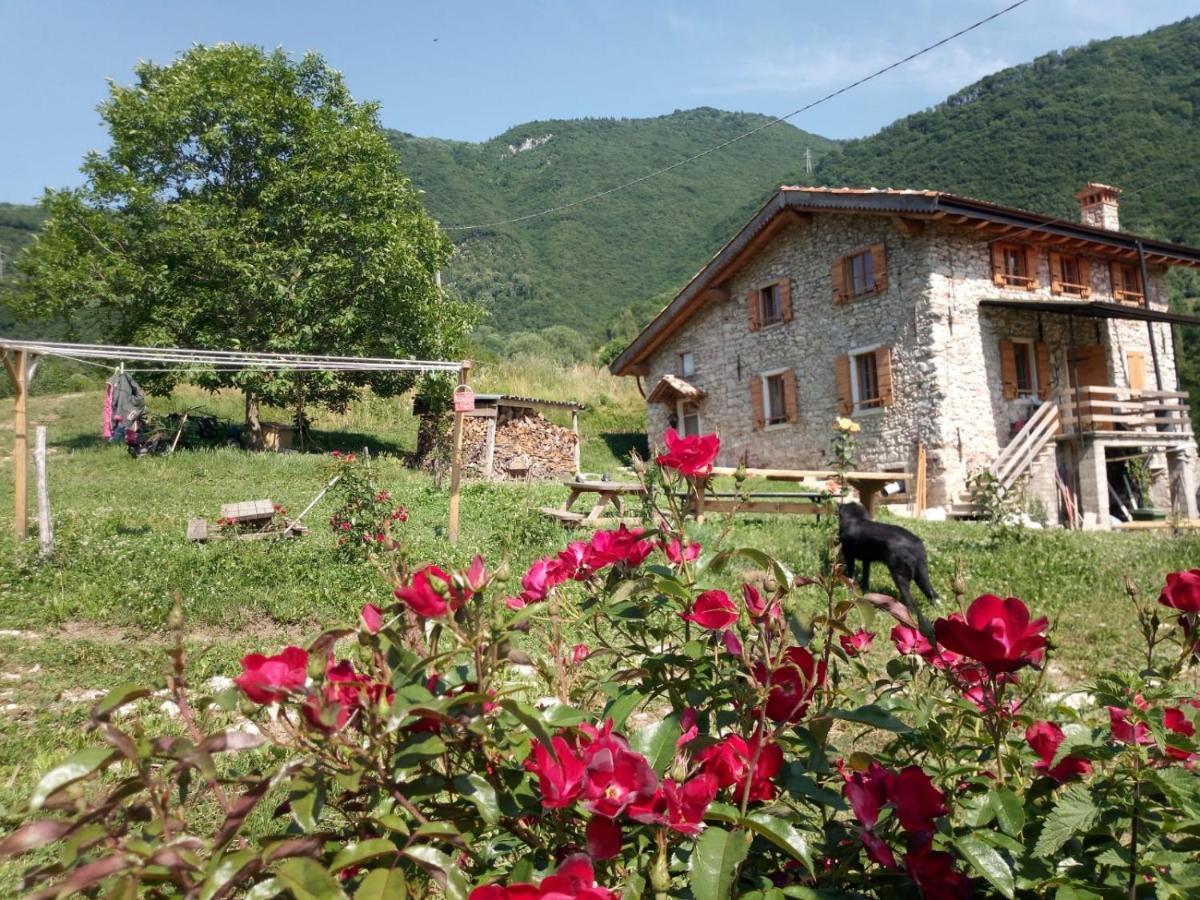 Gasthof Ca' Del Ri