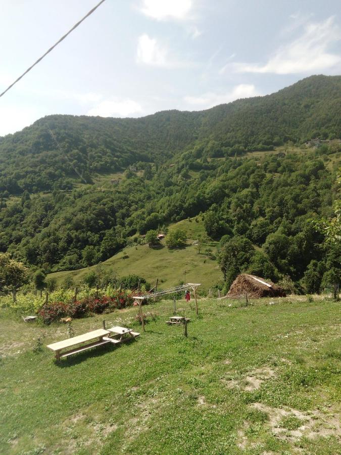 Ca' Del Ri Gasthof
